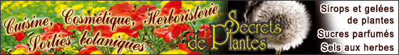 Secrets de plantes : Sorties botaniques et ateliers : cuisine aux herbes et aux fleurs, cosmÃ©tiques naturels